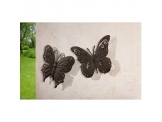 Dekoratyviniai drugeliai, 2 vnt