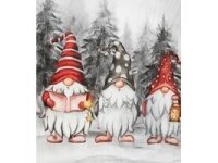 Džiaugsmo antklodė 'GNOME TRIO' 3 Džiaugsmo antklodė 'GNOME TRIO' 3