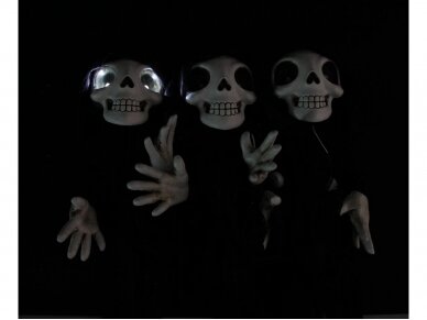 LED vaiduokliai 'Bright Eyes' 6