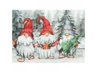 Pagalvės užvalkalas 'GNOME TRIO' 1 Pagalvės užvalkalas 'GNOME TRIO' 1