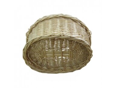 Pintinėlė (didesnioji) 2